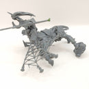 Warhammer Age of Sigmar Centaurian Marshal AF071