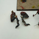Warhammer the Old World Vampire Counts Terrorgheist - Painted - Needs Rescuing AX081