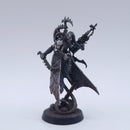 Warhammer 40k: Drukhari Haemonculus Well Painted AZ194
