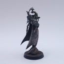 Warhammer 40k: Drukhari Haemonculus Well Painted AZ194