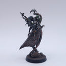 Warhammer 40k: Drukhari Haemonculus Well Painted AZ194