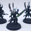 Warhammer 40k: Drukhari Incubi BN091