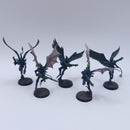 Warhammer 40k: Drukhari Scourges Painted BR071