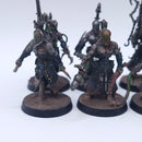 Warhammer 40k: Drukhari Wracks Well Painted BI014