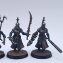 Warhammer 40k: Drukhari Wracks Well Painted BI014