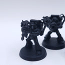 Warhammer 40k: Space Marines Devastator Squad AC009