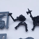 Warhammer Old World: Empire Knights of the White Wolf AQ102