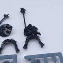 Warhammer Old World: Empire Knights of the White Wolf AQ102