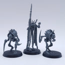Warhammer 40k: Necron Plasmancer with Cryptothralls BA151