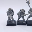 Warhammer Old World: Empire State Troopers BJ215