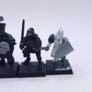 Warhammer Old World: Empire State Troops AH202