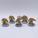 Warhammer 40k: Space Marines Terminators Dark Vengeance BH119