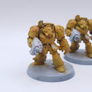 Warhammer 40k: Space Marines Terminators Dark Vengeance BH119
