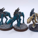 Warhammer 40k: T'au Metal Kroot Hounds Painted AJ134
