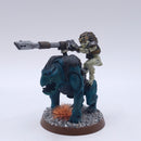 Warhammer 40k: T'au Metal Kroot Rider Painted AT239