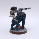 Warhammer 40k: T'au Metal Kroot Rider Painted AT239