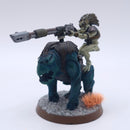 Warhammer 40k: T'au Metal Kroot Rider Painted AZ248