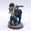 Warhammer 40k: T'au Metal Kroot Rider Painted AZ248