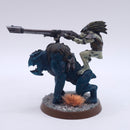 Warhammer 40k: T'au Metal Kroot Rider Painted BN008
