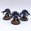 Warhammer 40k: Space Marines Aggressors Painted AZ202