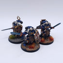 Warhammer 40k: Space Marines Bladeguard Veterans Painted BJ096