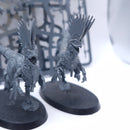 Warhammer AoS: Seraphon Raptadon Chargers Part Built BQ060