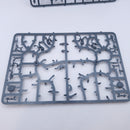 Warhammer AoS: Seraphon Raptadon Chargers Part Built BQ060