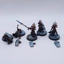 Warhammer 40k: Adeptus Sororitas Celestian Sacresants Well Painted AH071