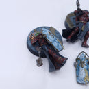 Warhammer 40k: Adeptus Sororitas Celestian Sacresants Well Painted AH071