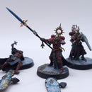 Warhammer 40k: Adeptus Sororitas Celestian Sacresants Well Painted AH071