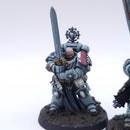 Warhammer 40k: Space Marines Company Heroes Painted BI163