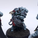 Warhammer 40k: Space Marines Company Heroes Painted BI163