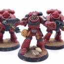 Warhammer 40k: Space Marines Intercessor Squad Painted AE188