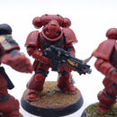 Warhammer 40k: Space Marines Intercessor Squad Painted AE188