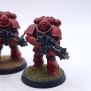 Warhammer 40k: Space Marines Intercessor Squad Painted AE188