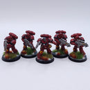 Warhammer 40k: Space Marines Intercessor Squad Painted AH195