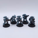 Warhammer 40k: Space Marines Intercessor Squad Painted AW120