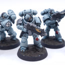 Warhammer 40k: Space Marines Intercessor Squad Painted AW120