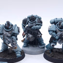 Warhammer 40k: Space Marines Intercessor Squad Painted AW167