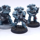 Warhammer 40k: Space Marines Intercessor Squad Painted AW167