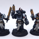 Warhammer 40k: Space Marines Primaris Crusader Squad Painted AD161