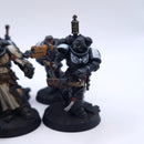 Warhammer 40k: Space Marines Primaris Crusader Squad Painted AJ224