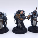 Warhammer 40k: Space Marines Primaris Crusader Squad Painted AJ224