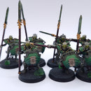 Warhammer AoS: Ossiarch Bonereapers Painted AP038