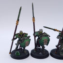Warhammer AoS: Ossiarch Bonereapers Painted AP038