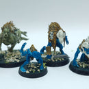 Warhammer Age of Sigmar: Flesh Eater Courts Royal Beastflayers (AJ005)