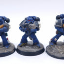 Warhammer 40k: Space Marines Tactical Squad Painted BSB27