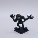 Warhammer Old World: Chaos Harpy Marauder Missing Wings BSB55