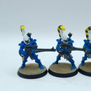 Warhammer 40k: Aeldari Eldar Dire Avengers - Battle Ready Painted (AH071)