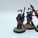 Warhammer 40k: Aeldari Eldar Dark Reapers - Battle Ready Painted (AT206)